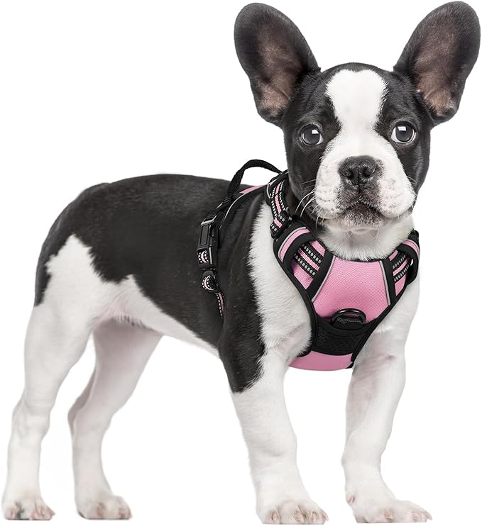 rabbitgoo Dog Harness No Pull with 2 Leash Clips, Adjustable Soft Padded, Reflective Oxford No Choke Pet Vest with Easy Control Handle for Small Dogs, Pink, S-Mewly Pet