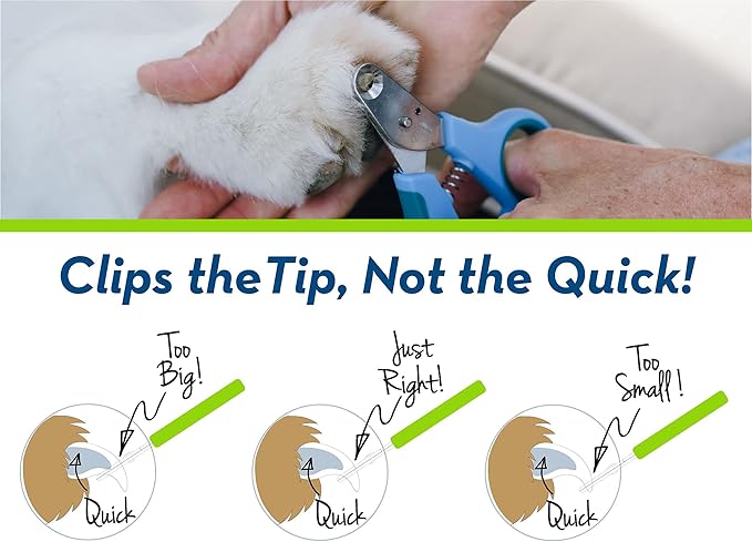 Zen Clipper Pet Nail Clipper for Dogs – Dog Nail Trimmer for Safer Grooming Care - Clean, Quiet, and Easy-to-Use Stainless Steel Claw Trimmer - (3mm Hole)-Mewly Pet