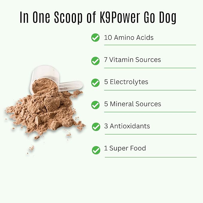 K9 Power Go Dog Hydration & Performance Drink Mix 1 lb - Active Dog Supplement for Muscle Function, Endurance, Recovery, with Electrolytes Support-Mewly Pet