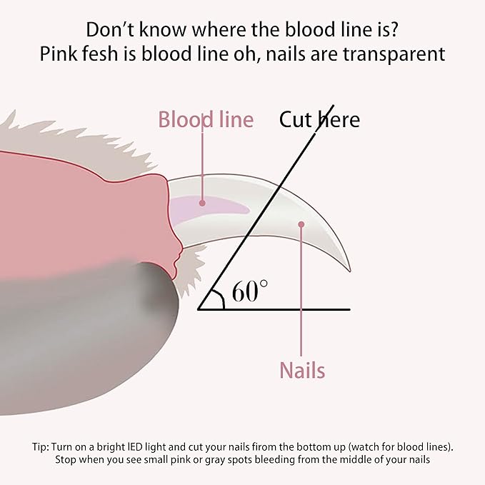 Pet Nail Clippers with LED Lights cat Nail Clippers for Indoor Cats Nail Trimmer Clippers for Small Dog Nail Trimmers Cats Rabbits Nail Clippers Bird Kittens (Blue)-Mewly Pet