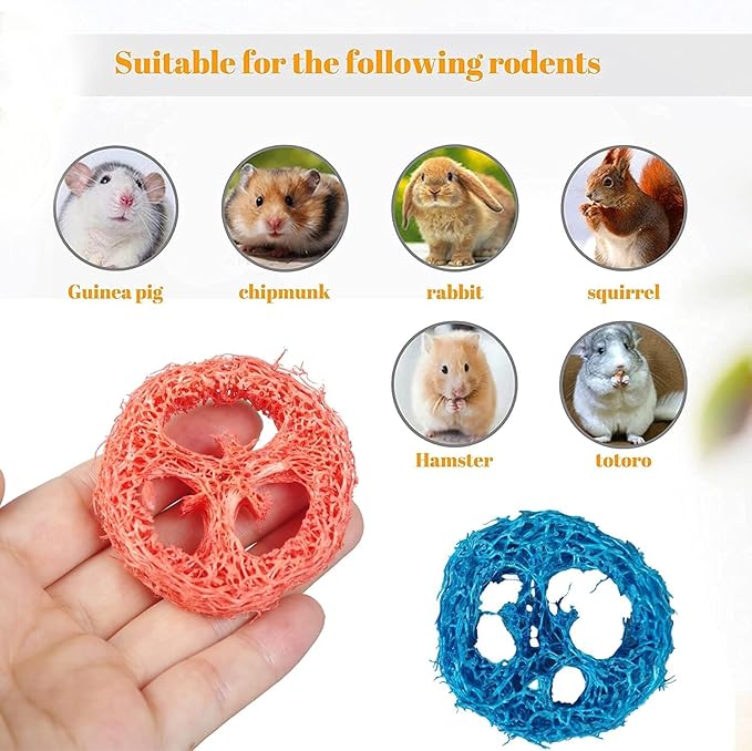 15 Pcs Fruit Flavored Loofah Slices Rabbit Chew Toys Guinea Pig Chew Toys Small Pet Chews Bunny Toys for Teeth Rabbit Toys-Mewly Pet
