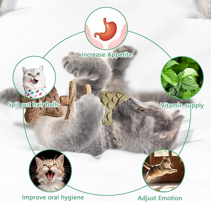 3 Pack Catnip Toys, Healthy Cat & Kitten Teeth Cleaning Dental Chew Toy, Contain Catnip, Natural Silvervine, and Gall Fruit, Interactive Cat Toys for Indoor Cats, are Edible for All Cats Breeds-Mewly Pet