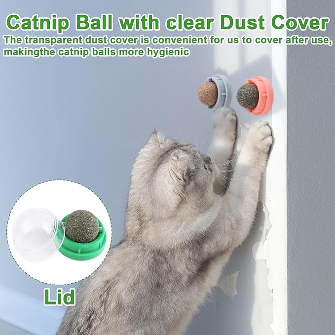CCINEE 6PCS Catnip Balls for Cats Wall Catnip Toys Edible Cat Toys for Cat Lick Safe Healthy Kitten Chew Toys Teeth Cleaning Dental Cat Toys-Mewly Pet