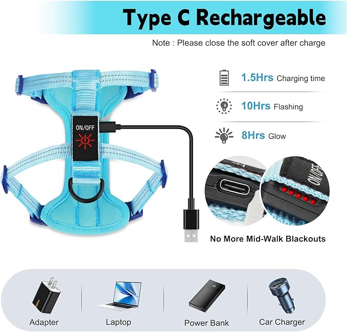 Rechargeable Light Up Dog Harness for Small Dogs – Adjustable LED Dog Vest with Reflective Strips, No Pull Glow in The Dark Puppy Harness for Night Walking Safety-Blue-Mewly Pet