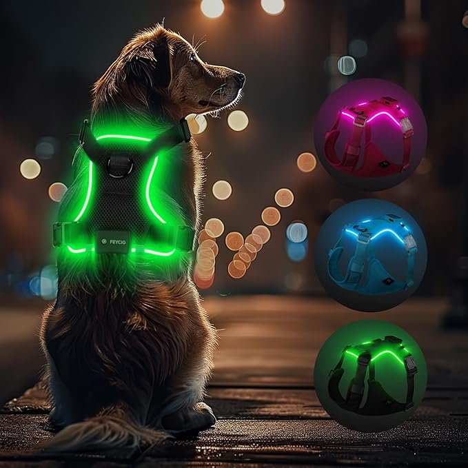Light Up Dog Harness,Reflective Pet Harness Rechargeable,Led Dog Vest Harness for Night Walking,Adjustable Dog Safety Vest for Small Medium Large Dogs-No Pull,Black,M-Mewly Pet