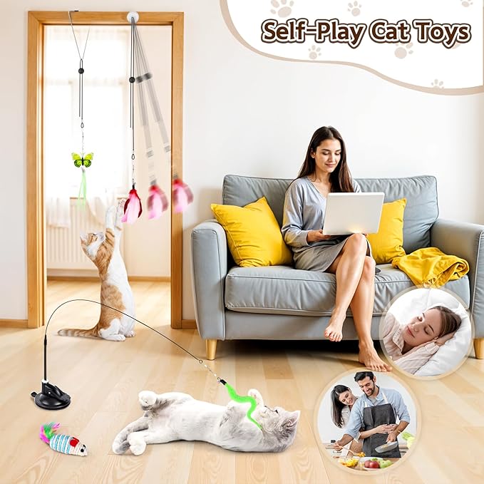 HONGDDY Cat Toys, 14Pcs 4 in 1 Indoor Adult Cat Interactive Toys, Hanging Door Kitten Wand with Suction Cup Removable Feathers Balls Mice Butterfly Streamers-Mewly Pet