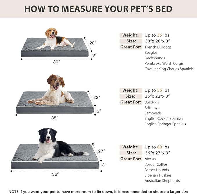 WNPETHOME Orthopedic Dog Bed Medium Size Dog, Waterproof Medium Dogs Bed with Removable Washable Cover, Multi-Needle Quilting Dogs Crate Bed-Mewly Pet