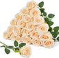 Serwalin 20pcs Artificial Roses, 4'' Big Flower Head, Champagne Velvet Silk Roses, Fake Roses Long Stem Realistic Bouquet for Wedding Table Centerpiece