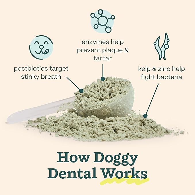 WOOF Dental Kit- Includes Pupsicle Dog Toy, Treat Tray, Shaker Bottle, Chicken Pupsicle Pops, and Dog Teeth Cleaning Powder - Supports Oral Health for Dogs - XL-Mewly Pet