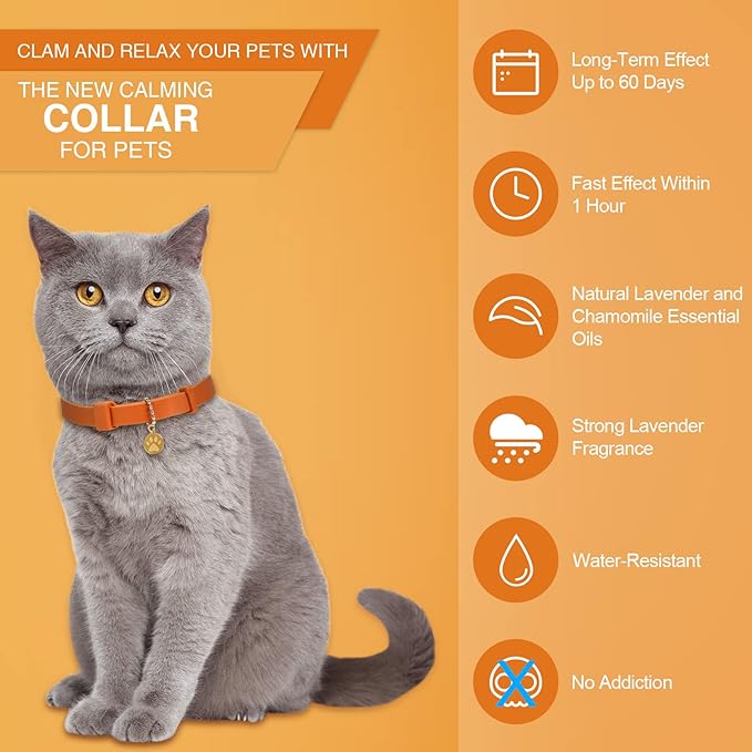 4 Pcs Cat Calming Collar Adjustable Lavender Scent Relaxing Cat Collar with 2 Pendant for Puppies Reduce Stress Aggression Anxious, up to 15 Inches(Orange)-Mewly Pet