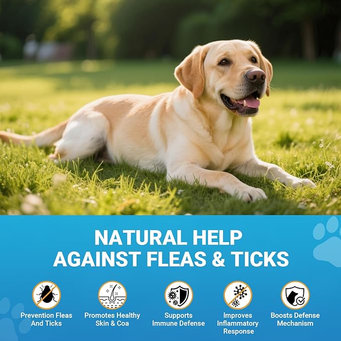 Flea and Tick Prevention for Dogs, 180 Soft Chews Natural Dog Flea and Tick Chewables Oral Flea Supplement for Dogs, Puppy Flea Support - All Breeds & Ages - Chicken Flavor-Mewly Pet