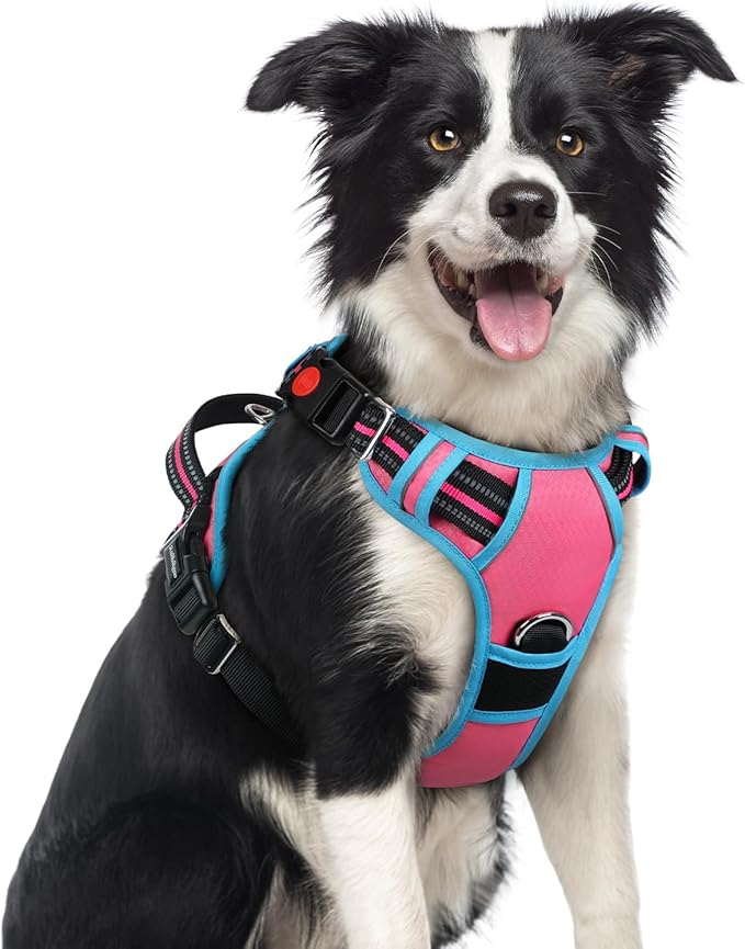 rabbitgoo Dog Harness Medium Sized, No Pull Dog Vest with 3 Buckles, Adjustable Soft Padded Pet Harness with Easy Control Handle and Reflective Strips, Rose Pink & Blue, M-Mewly Pet