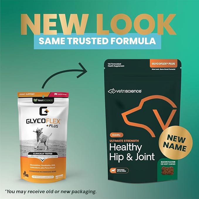 VetriScience GlycoFlex Ultimate Strength Healthy Hip & Joint Glucosamine Supplements for Dogs, with MSM, Chondroitin & Green-Lipped Mussel, Soft Chews, Bacon, 120 Count - New Look-Mewly Pet