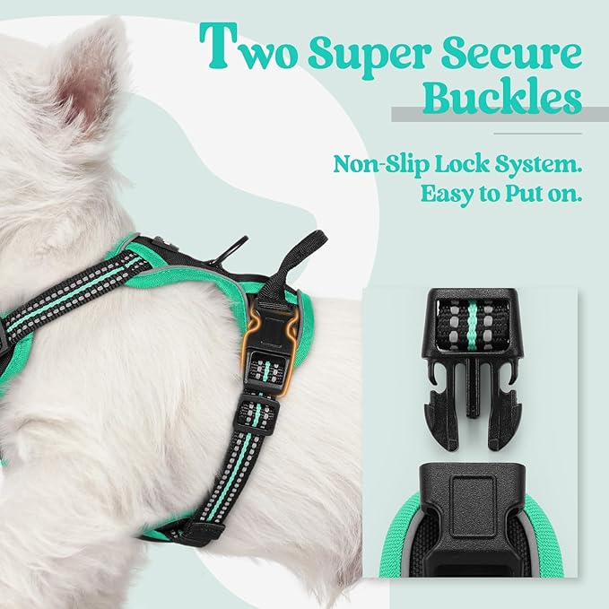 rabbitgoo Dog Harness No Pull with 2 Leash Clips, Adjustable Soft Padded, Reflective Oxford No Choke Pet Vest with Easy Control Handle for Puppy, Black & Turquoise, XS-Mewly Pet