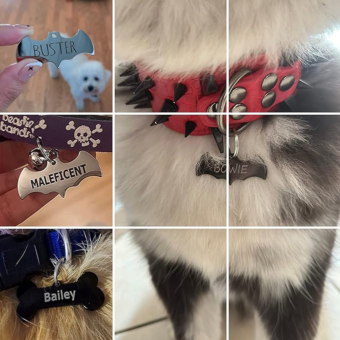 316 Surgical Grade Stainless Steel Personalized Dog & Cat ID Tags - Made with Three Thousand Love for Our Fur-Baby - Original Funny Shapes Heart, Engraved Name or Text for Pet Collar Accessories-Mewly Pet