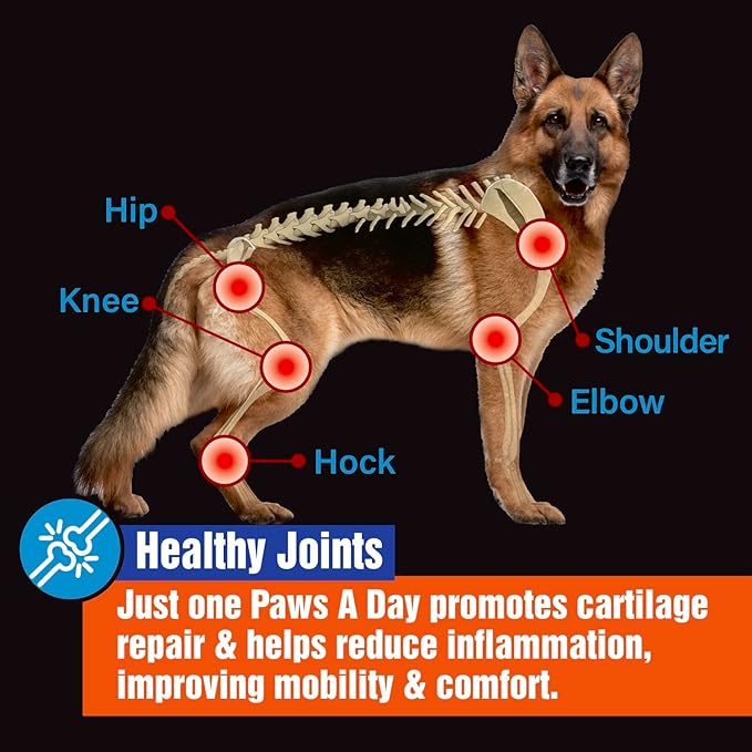 Glucosamine for Dogs Hip & Joint Supplement – “Two-in-One Combo” Dog Joint Care and Improved Skin & Coat with Chondroitin, MSM, Omega 3, Collagen & Biotin, 60 Chewable Tablets-Mewly Pet