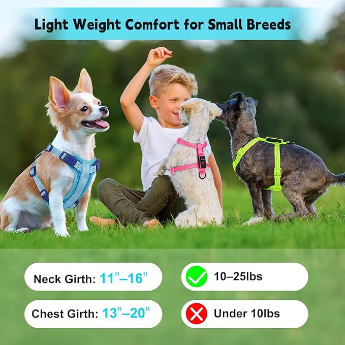 Rechargeable Light Up Dog Harness for Small Dogs – Adjustable LED Dog Vest with Reflective Strips, No Pull Glow in The Dark Puppy Harness for Night Walking Safety-Blue-Mewly Pet