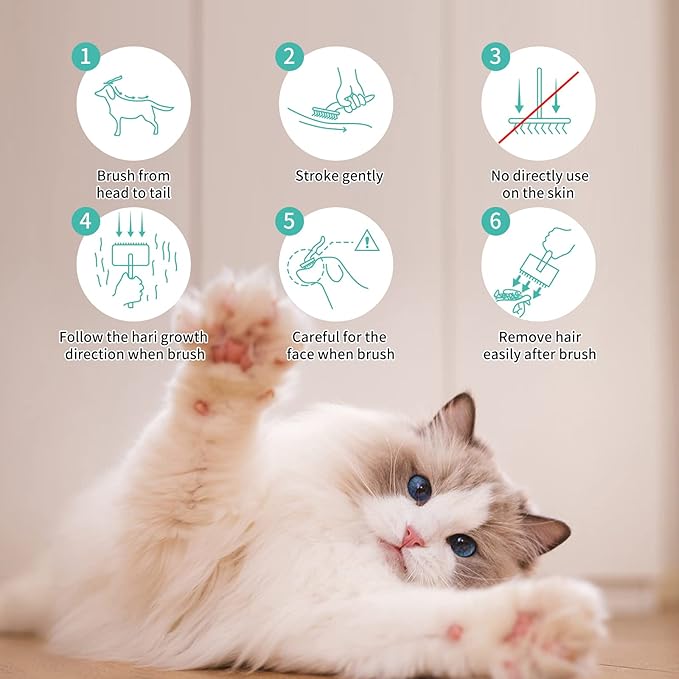 Slicker Brush for Dogs, Long Pin Dog Grooming Brush for Goldendoodles, Poodles, Doodles & More, Includes Bonus Pet Comb, Perfect for De-Shedding, Dematting & Reducing Tangles. Large, Green-Mewly Pet