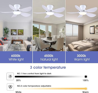 36 Inch Modern Ceiling Fans with Lights, Small Flush Mount Ceiling Fan with Light and Remote/APP Control, 5 Reversible 6 Speeds Curved Blades, 3 CCT Dimmable Lights for Bedroom, White