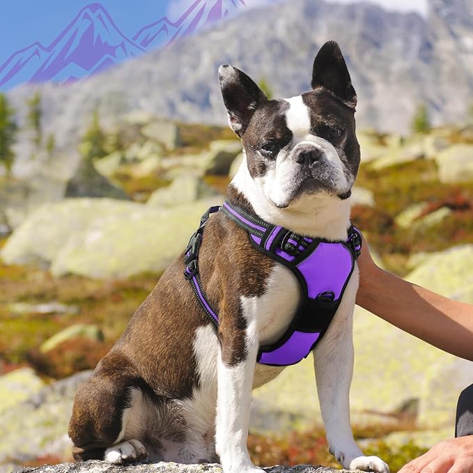 Eagloo Dog Harness Medium Sized Dog, No Pull Service Vest with Reflective Strips and Control Handle, Adjustable and Comfortable for Easy Walking, No Choke Pet Harness with 2 Metal Rings, Purple, M-Mewly Pet