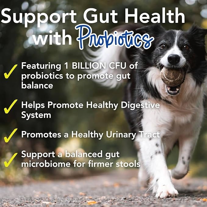 iHeartDogs 24-in-1 Adult Dog Multivitamin Daily+ Total Health Support Powder with Probiotics, Omega-3, Glucosamine, Mushrooms & Bone Broth - 60 Servings-Mewly Pet