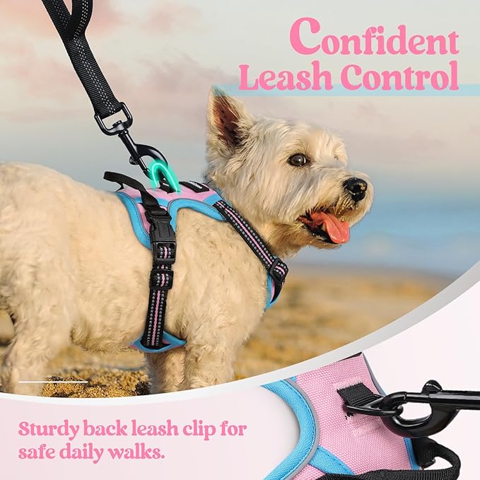 rabbitgoo Dog Harness No Pull with 2 Leash Clips, Adjustable Soft Padded, Reflective Oxford No Choke Pet Vest with Easy Control Handle for Puppy, Pink & Blue, XS-Mewly Pet