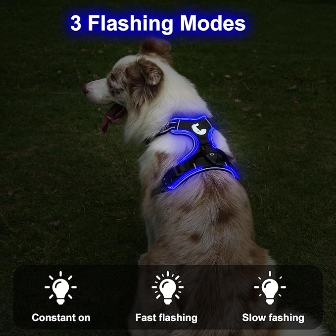 Taglory Light Up Dog Harness, Rechargeable No Pull Dog Vest with 3 Lightning Modes, Reflective Dog Harness with 2 Leash Clips & 4 Adjustable Slide Strips for Medium Dogs, Black-Blue, M-Mewly Pet