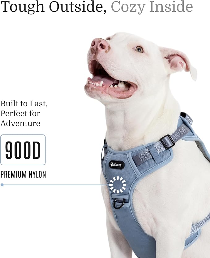2025 New Edition, Fei & Eve MagEase Dog Harness - 3-Second Magnetic Buckles | 3-Point No-Pull Control | Heavy-Duty 900D Nylon | Dual Safety Handles | Breathable Mesh | Adjustable Fit | Large, Blue-Mewly Pet