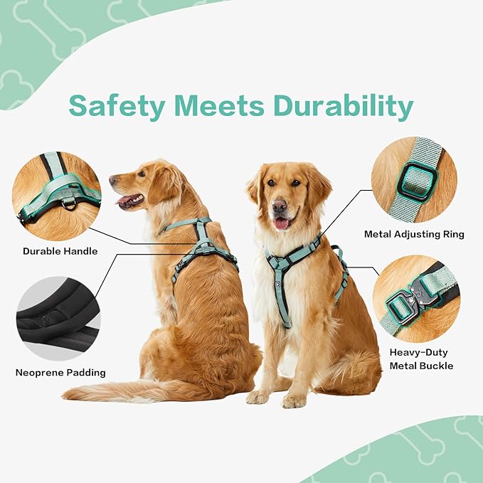 CLEPAWS Dog Harness for Large Dogs, No Pull Dog Harness Easy Walk with Metal Hardware, Ergonomic Y-Shaped Design, Soft Padding, Padded Handle, Durable High-Tensile Nylon (Seabreeze, L)-Mewly Pet