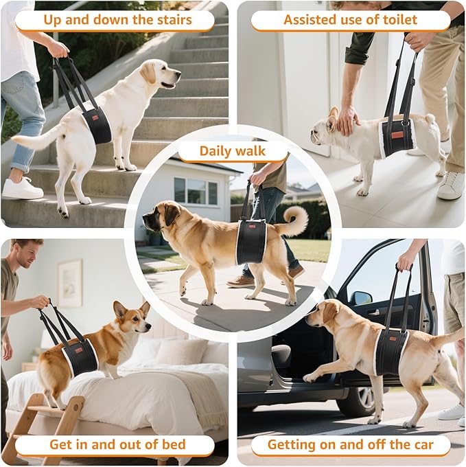 LOOBANI Portable Dog Sling for Back Legs, Hip Support Harness to Help Lift Rear for Canine Aid Old K9 Cruciate Ligament Rehabilitation-Mewly Pet