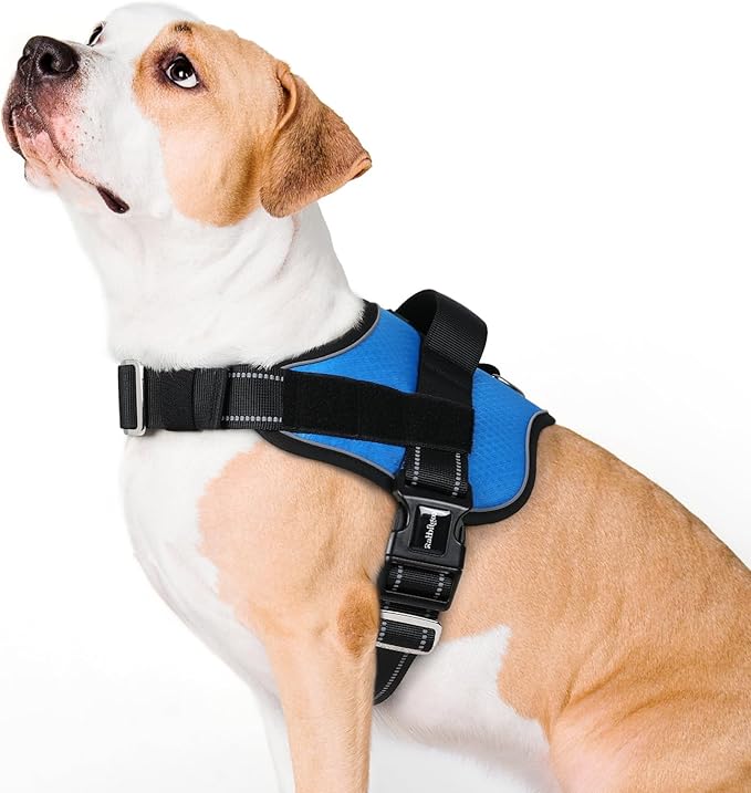 rabbitgoo Dog Harness for Large, Easy On Pet Vest with One Buckle, No Pull Adjustable Service Harness with D-Ring & Handle, Reflective for Safety Walking, Training, Blue, L-Mewly Pet