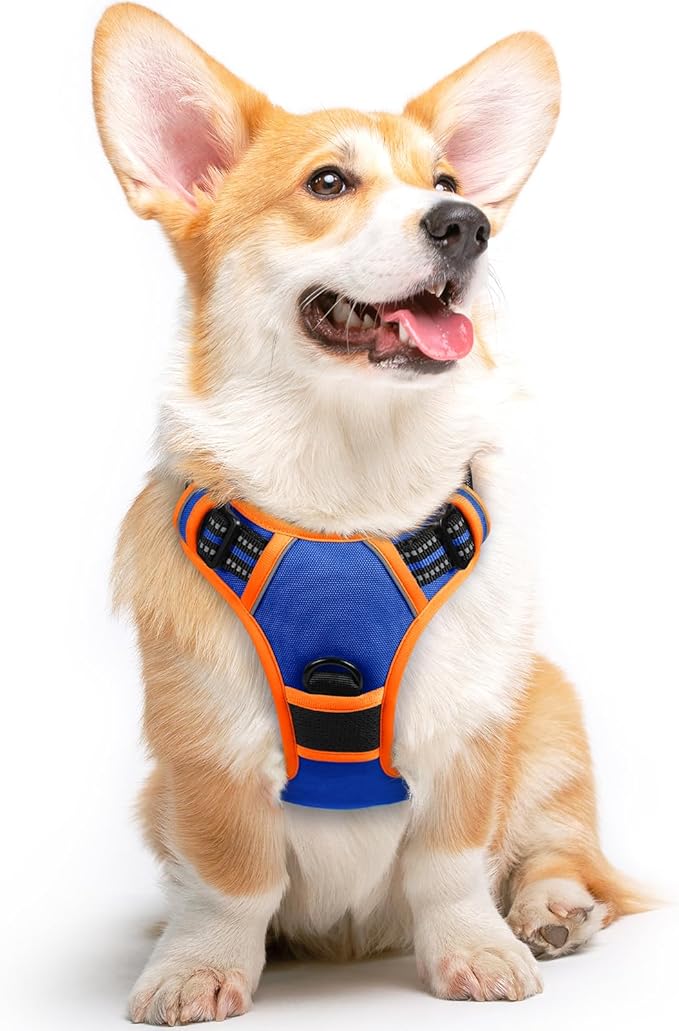 Eagloo Dog Harness for Large Dogs, No Pull Service Vest with Reflective Strips and Control Handle, Adjustable and Comfortable for Walking, No Choke Harness with 2 Metal Rings, Blue & Orange, M-Mewly Pet