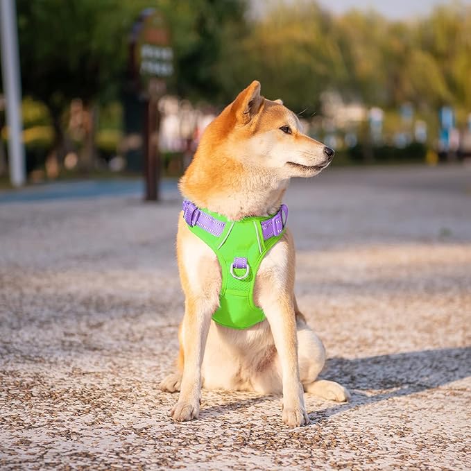 PHOEPET No Pull Dog Harness, Unique Colors Reflective Adjustable Dog Vest, with Soft Training Handle Metal Clips for Small Medium Large Dogs (Green Base & Purple Straps,S)-Mewly Pet