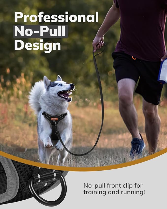 MIDOG No-Pull Dog Harness | Adjustable & Reflective Pet Harness Leash Set for Small Medium Large Dogs Walking, Training| No Choke, Front Clip, Soft Padded Vest with Easy Control Handle - Black, S-Mewly Pet