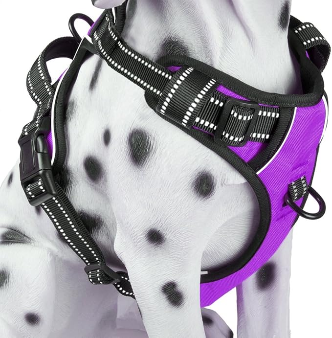 PoyPet No Pull Dog Harness, Reflective Comfortable Vest Harness with Front & Back 2 Leash Attachments and Easy Control Handle Adjustable Soft Padded Pet Vest for Small to Large Dogs (Purple,S)-Mewly Pet