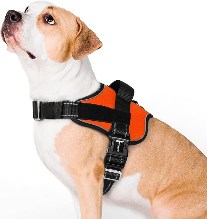 rabbitgoo Dog Harness for Large, Easy On Pet Vest with One Buckle, No Pull Adjustable Service Harness with D-Ring & Handle, Reflective for Safety Walking, Training, Orange, L-Mewly Pet