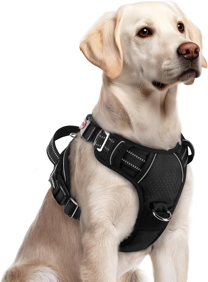 rabbitgoo Dog Harness for Large Dogs, No Pull Pet Vest with 3 Buckles, Adjustable Soft Padded Pet Harness with Easy Control Handle and Reflective Strips, Black, L-Mewly Pet