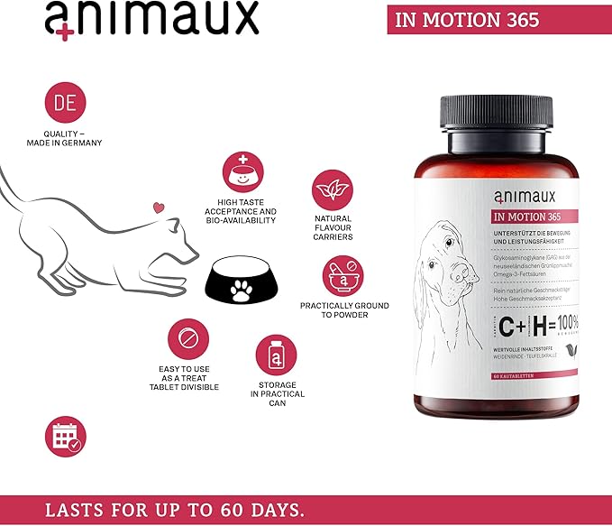 animaux – in Motion 365 for Dogs, Joints, Bones, Mobility, Ligaments and Tendons, Green-Lipped Mussel, Willow Bark and Devil’s Claw, Natural Pain Relief, 60 Chewable Tablets, 60 Days Supply-Mewly Pet