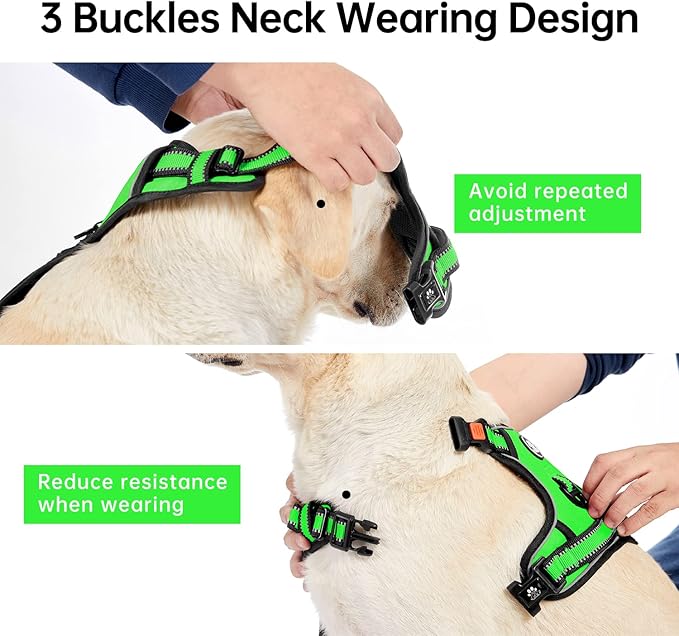 IVY&LANE No Pull Dog Harness for Medium Dogs, Dog Vest Harness with Leash, Safety Belt and Storage Strap, Fully Adjustable Harness, 360° Reflective Strip, Soft Handle (Green,M)-Mewly Pet