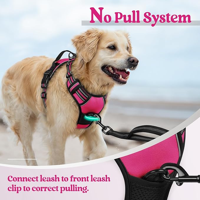 rabbitgoo Dog Harness No Pull with 2 Leash Clips, Adjustable Soft Padded, Reflective Oxford No Choke Pet Vest with Easy Control Handle for Large Dogs, Hot Pink, XL-Mewly Pet