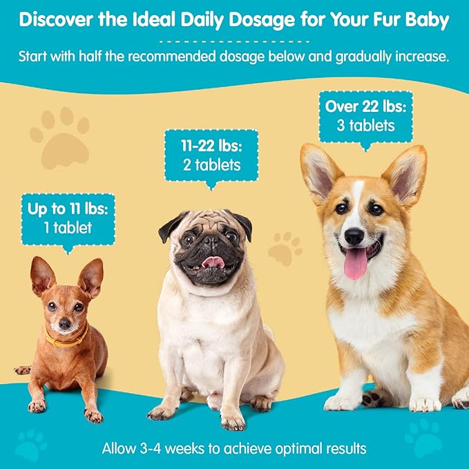 Wanderfound Pets Same 100 Liver Support for Dogs - Same S-Adenosyl-L-Methionine Hepatic Supplement for Liver & Brain Support - Bacon Flavored Sam E, Manufactured in The USA - 30 Chewable Tablets-Mewly Pet