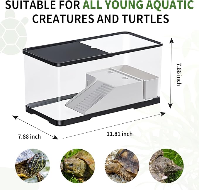 (Tank + Light + Filter Balls) Turtle Tank Kit, Turtle Tank Starter Kit,Bottom Drainage, Multi-Function Areas for Turtles, Crabs,Fishes, Amphibians,Reptiles.(11.81 × 7.88 × 7.88 Inch)-Mewly Pet