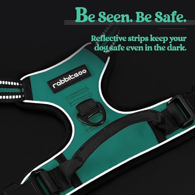 rabbitgoo Dog Harness No Pull with 2 Leash Clips, Adjustable Soft Padded, Reflective Oxford No Choke Pet Vest with Easy Control Handle for Medium Sized Dogs, Turquoise, M-Mewly Pet