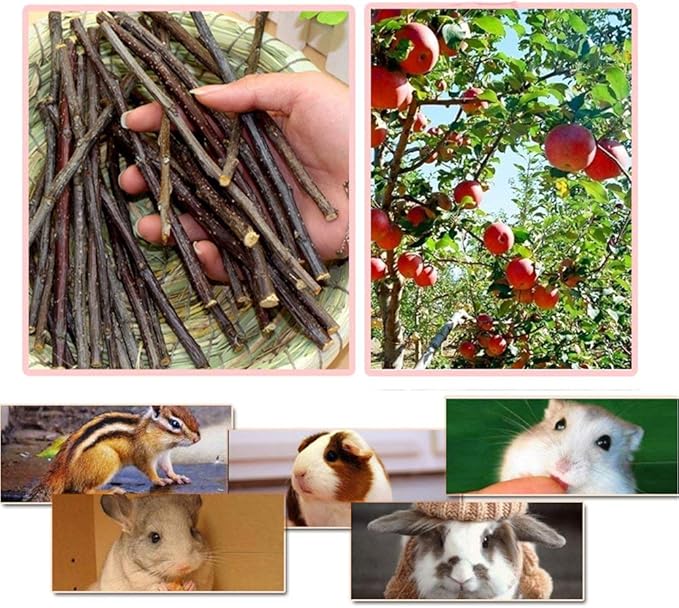 500g Apple Sticks Small Animals Molar Wood Toys for Rabbits Chinchillas Guinea Pig Hamster Gerbil Bunny and Small Animal Chew Stick Toys-Mewly Pet