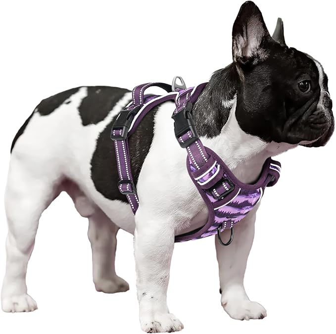 Timos Dog Harness,No-Pull Pet Harness Adjustable Soft Padded Dog Vest,Reflective No-Choke Pet Oxford Vest with Easy Control Handle for X-Small Dogs,Moon Night,XS-Mewly Pet