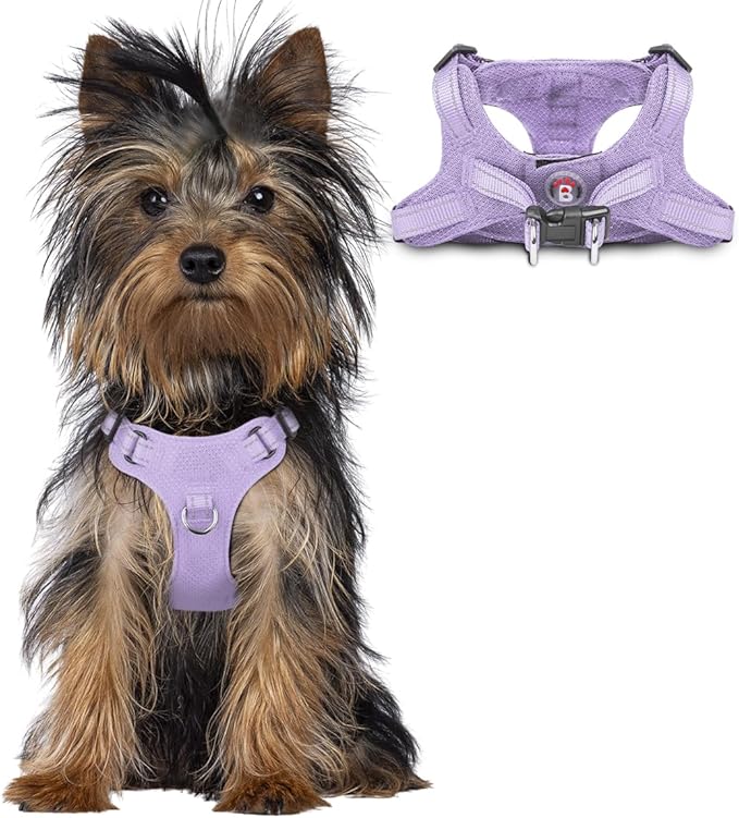 BARKBAY Dog Harness, Reflective Adjustable Puppy No Pull Harness, Breathable Soft for Small and Medium Dogs, Violet Purple, XXS-Mewly Pet