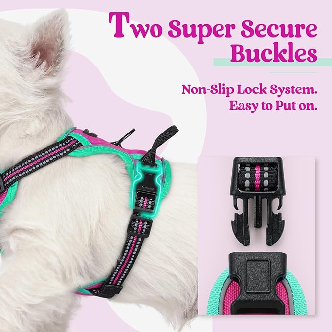 rabbitgoo Dog Harness No Pull with 2 Leash Clips, Adjustable Soft Padded, Reflective Oxford No Choke Pet Vest with Easy Control Handle for Large Dogs, Hot Pink & Turquoise, XS-Mewly Pet