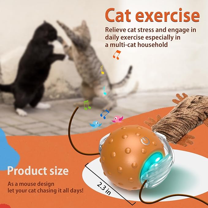 Interactive Cat Toys Ball Mouse Chirping Game Motion Activated Play Cat Ball Fast Rolling on Carpet, for High Energy Kittens-Mewly Pet