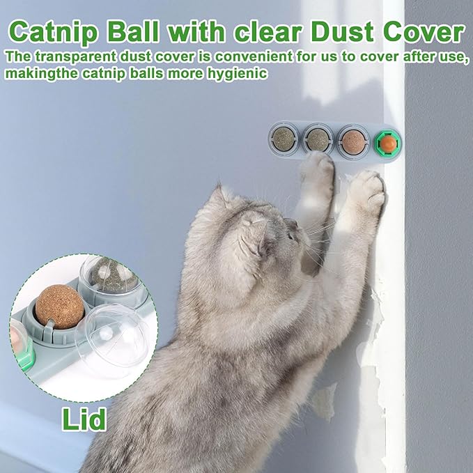 CCINEE Catnip Balls for Cats Wall Catnip Toys Edible Cat Toys for Cat Lick Safe Healthy Kitten Chew Toys Teeth Cleaning Dental Cat Toys(4 Flavor)-Mewly Pet