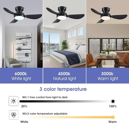 36 Inch Modern Ceiling Fans with Lights, Small Flush Mount Ceiling Fan with Light and Remote/APP Control, 3 Reversible 6 Speeds Curved Blades, 3 CCT Dimmable Lights for Bedroom, Black